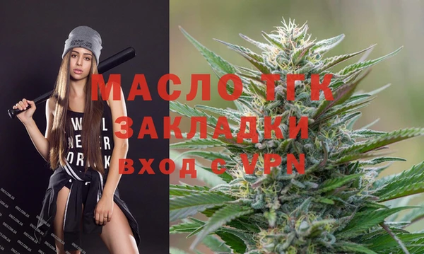 гидра Каменка