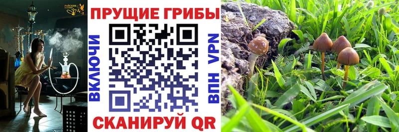 omg ССЫЛКА  Верхнеуральск  Галлюциногенные грибы GOLDEN TEACHER 